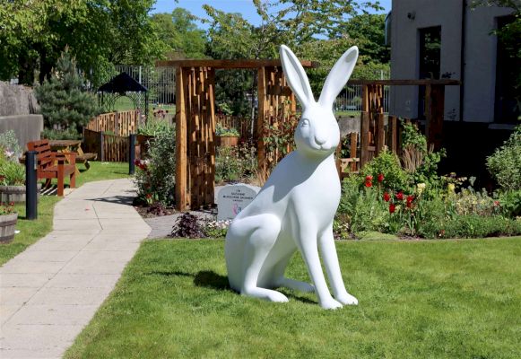 hare-wo-go!-as-north-east-cancer-charity-launches-its-new-art-sculpture-trail-–-grampian-online