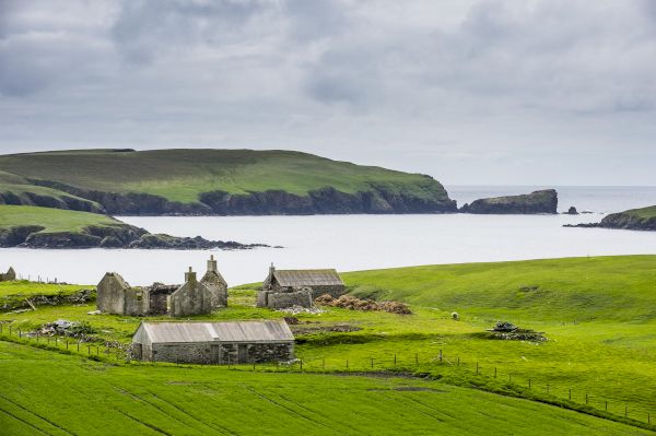 international-acclaim-for-bilingual-shetland-language-primer-–-the-national
