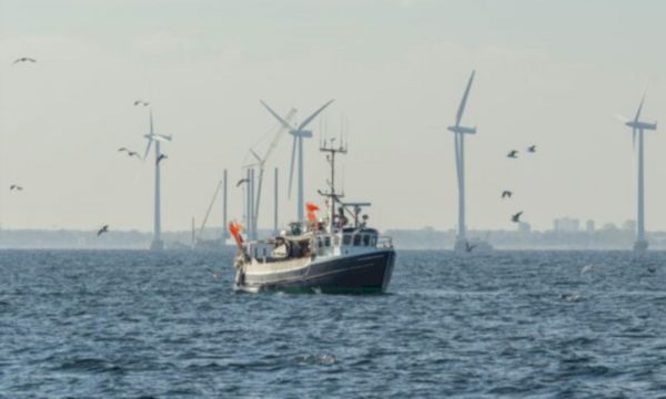 fishers-seek-greater-understanding-of-wind-farm-impacts-–-the-press-&-journal