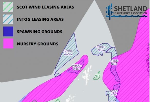 offshore-windfarms-could-‘wreak-havoc’-on-fish-spawning-grounds-–-shetland-times-online