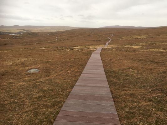 shetland’s-appeal-remains-strong-despite-pandemic-–-shetland-news