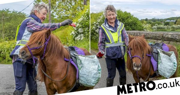 ‘my-litter-pony’-helps-collect-local-rubbish-–-metroco.uk