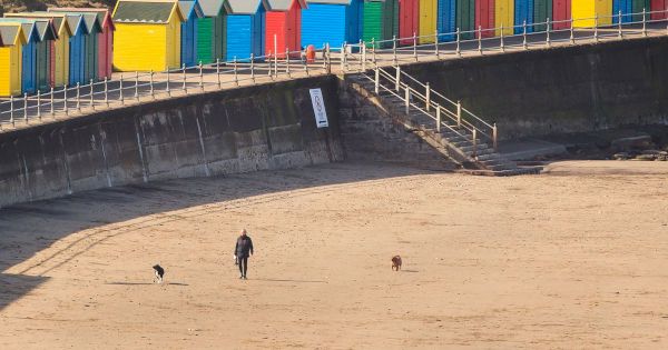 yorkshire-braced-for-toasty-bank-holiday-weekend-but-there-could-be-showers-–-full-weather-forecast-–-yorkshire-live