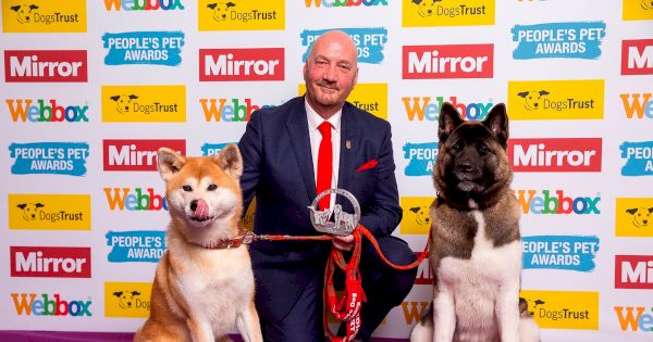 mirror’s-pet-awards-will-celebrate-special-bond-between-animals-and-their-owners-–-the-mirror
