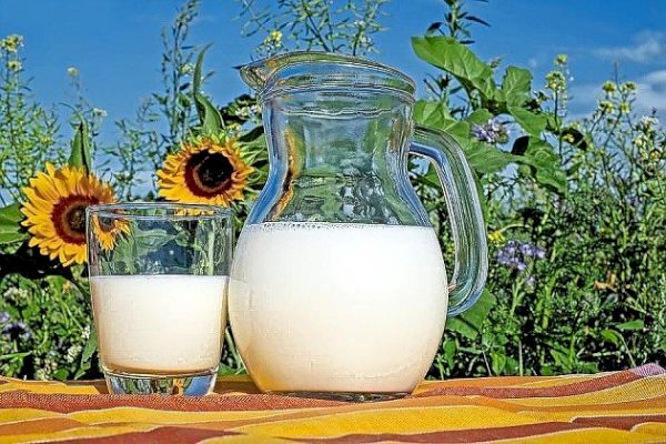 nostalgia-in-the-form-of-rich-shavuot-dairy-–-the-jewish-star