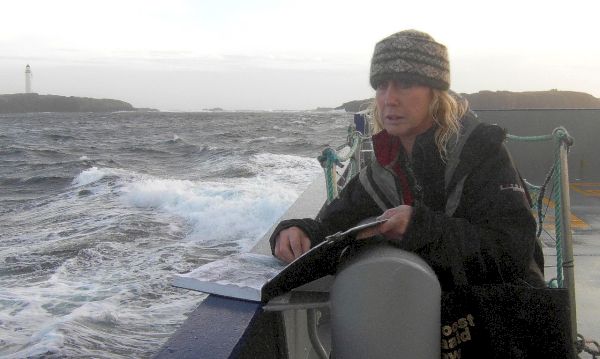 artist-offering-‘wild’-insights-displays-work-at-west-bay-|-bridport-and-lyme-regis-news-–-bridport-and-lyme-regis-news