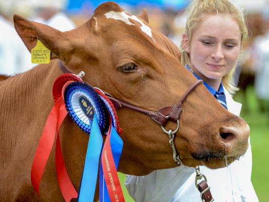 all-you-need-to-know-about-the-royal-cornwall-show-2022-which-starts-today-–-falmouth-packet