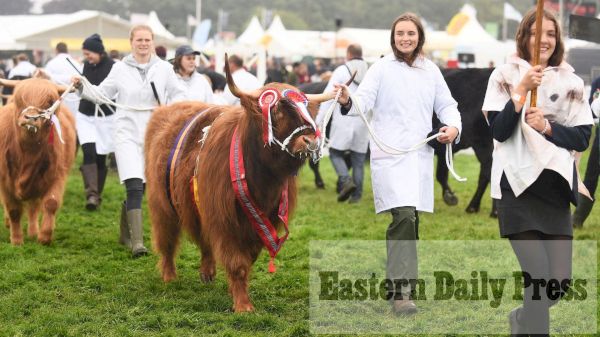 royal-norfolk-show-reveals-spectacular-equine-and-livestock-line-up-–-eastern-daily-press