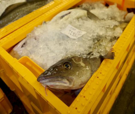 report-damns-impact-of-brexit-on-fishing-industry-–-shetland-times-online