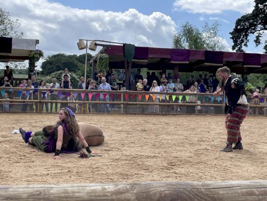 review-–-warwick-castle’s-midsummer-carnival-the-perfect-way-to-celebrate-with-the-family-–-solihull-observer