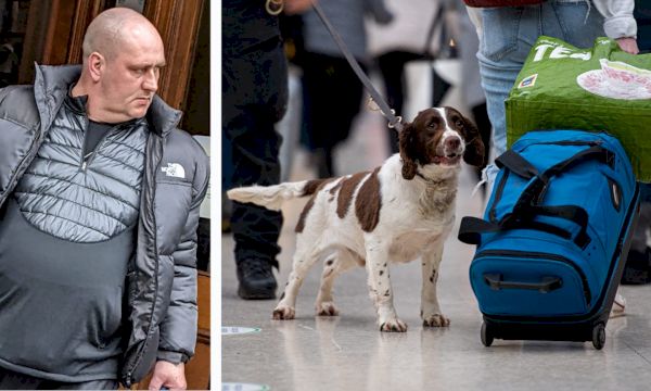 drug-courier-with-15000-of-cocaine-hidden-in-ipad-box-foiled-by-sniffer-dog-hamish-–-the-press-&-journal