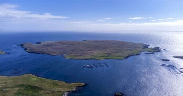‘beautiful’-uk-island-on-sale-for-1.75m-with-a-castle,-flock-of-sheep-and-a-42ft-whale-–-the-mirror