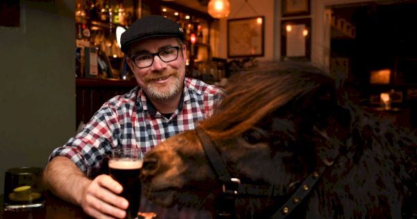 petition-calls-for-patrick-the-pony-to-become-mayor-of-devon-village-–-devon-live