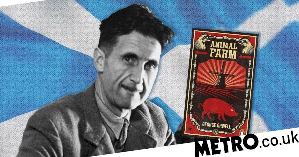 orwell-classic-animal-farm-to-be-translated-into-scots-for-first-time-–-metroco.uk