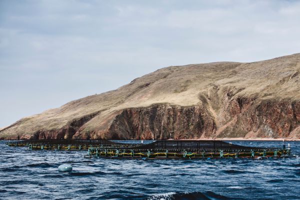 study-seeks-views-on-fish-farming-in-shetland-–-fish-farmer-magazine