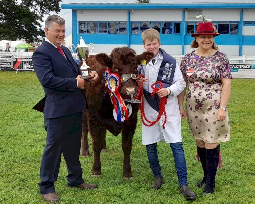 royal-highland-show-inter-breed-young-handlers-won-by-lewis-ralston-with-a-salers-heifer-–-the-scottish-farmer