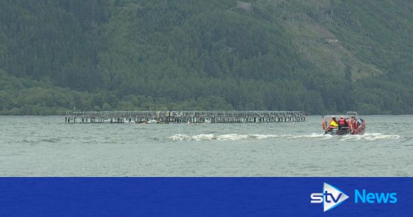 salmon-scotland-call-for-‘norwegian-style’-licence-fee-system-to-to-tackle-highland-housing-crisis-–-stv-news