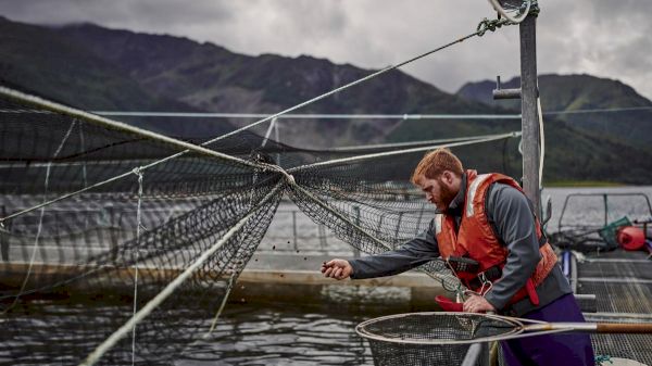 salmon-farmers-angle-for-seabed-rent-to-be-used-to-help-make-rural-housing-affordable-–-the-times