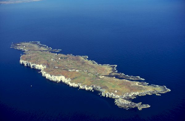 scots-nature-reserves-closed-to-public-to-help-prevent-spread-of-avian-flu-–-deadline-news