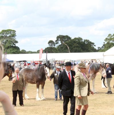 malton-show-results-–-gazetteheraldco.uk