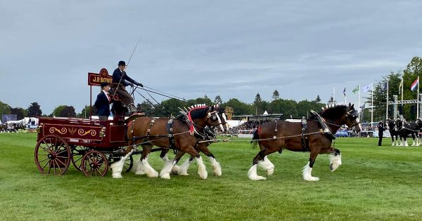 live-royal-norfolk-show-2022-updates:-day-two-of-the-biggest-celebration-of-all-things-norfolk-–-norfolk-live