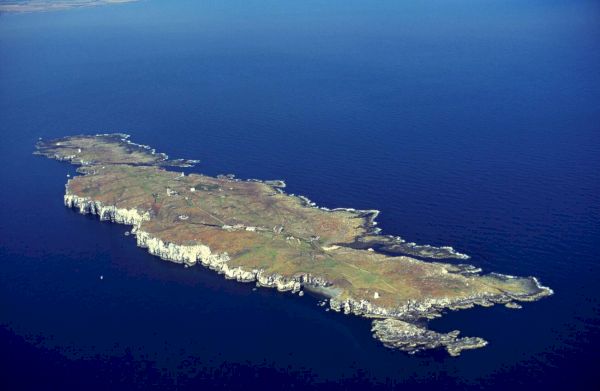 island-nature-reserves-close-to-protect-seabirds-–-scottish-natural-heritage