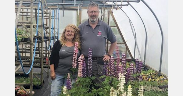 uk:-pandemic-helped-local-plant-grower-to-flourish-–-hortidaily.com