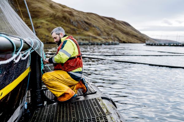 salmon-producer-using-solar-energy-in-feed-barge-trial-–-shetland-news