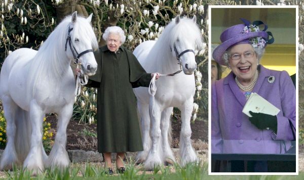 the-queen’s-relationship-with-horses-is-‘non-negotiable’-–-provides-a-‘source-of-escape’-–-express