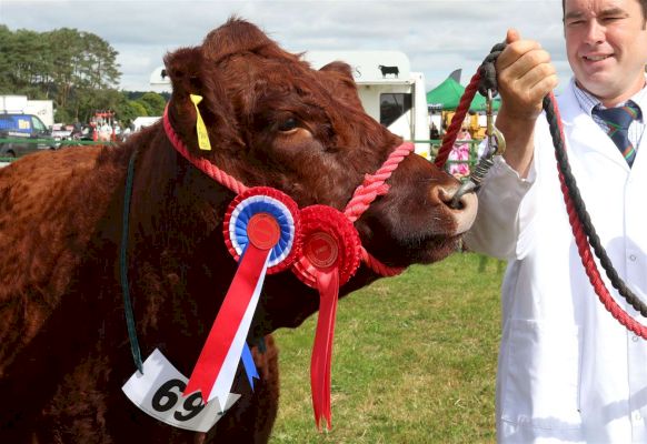 echt-show-–-results-from-across-the-sections-–-grampian-online