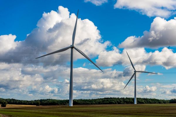 readers’-letters:-winds-of-change-bode-ill-for-shetland-wildlife-–-the-scotsman