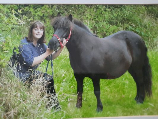 children’s-favourite-pony-and-national-treasure-siani-shetland-dies-–-tivyside-advertiser