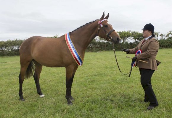 latheron-show-results-roundup-–-johnogroat-journal