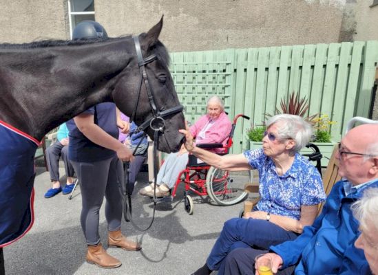 milnthorpe’s-hartland-house-care-home-enjoys-visit-from-retired-racehorses-from-btrc-–-the-mail
