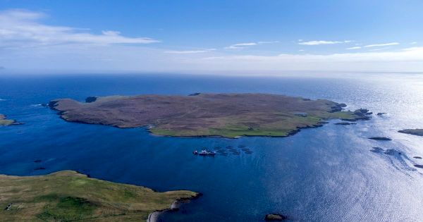 a-scottish-private-island-with-ewes-and-bell-tower-–-mansion-global