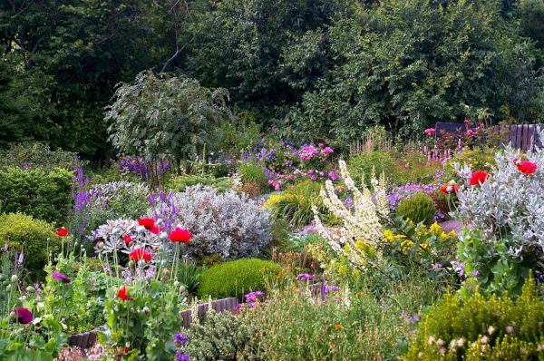 fond-farewells-as-lea-gardens-goes-on-the-market-–-shetland-news