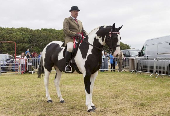 pictures:-successful-return-for-caithness-county-show-as-organisers-say-‘the-hard-work-has-really-paid-off’-–-johnogroat-journal