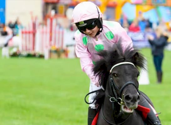 the-show-must-go-on!-everything-you-need-to-know-about-the-royal-lancashire-agricultural-show,-starting-on-friday-–-blackpool-gazette
