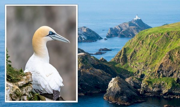 tourists-banned-from-popular-scottish-holiday-islands-–-‘unprecedented’-–-express