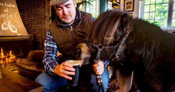 pony-who-lives-in-pub-and-loves-a-pint-of-beer-is-made-mayor-–-leicestershire-live