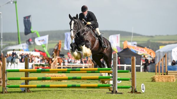 ‘here-comes-the-shetland!’-18hh-shire-takes-on-inter-hunt-relay-–-horse-&-hound-–-horse-&-hound
