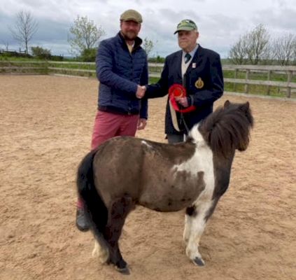 blind-86-year-old-overcomes-cancer-and-losing-guide-dog-to-win-in-the-show-ring-–-horse-&-hound