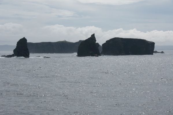 nature-/-more-bird-flu-restrictions-–-shetland-news