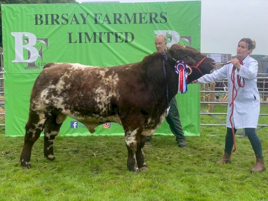 a-cracking-return-for-county-show-–-the-orcadian