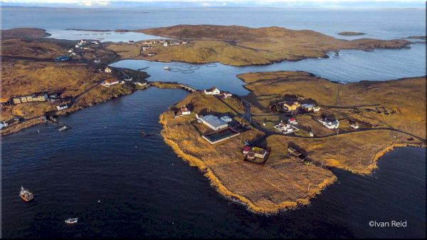 scottish-government-cancels-‘bribe’-scheme-after-consultation-–-shetland-times-online