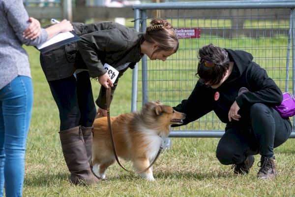 a-wednesday-to-remember-as-cunningsburgh-show-makes-long-awaited-return-–-shetland-news