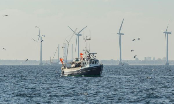 shetland-fishing-‘flung-by-the-wayside’-in-rush-for-offshore-wind-–-energy-voice