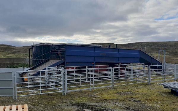 dipping-equipment-will-help-prevent-further-outbreak-of-sheep-scab-–-shetland-times-online