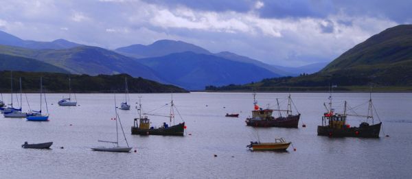 shetland-fishermen-ban-landing-of-berried-lobsters-–-baird-maritime