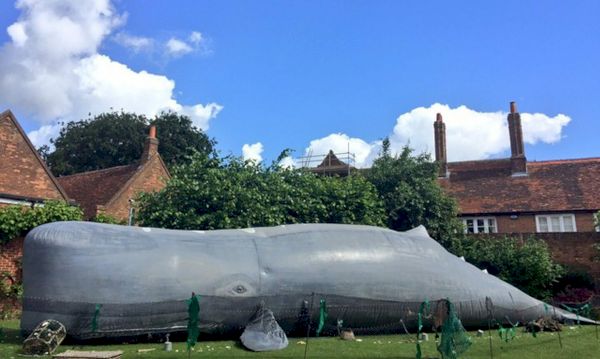 northern-stories-festival-line-up-revealed-complete-with-50ft-whale-and-tattoo-tales-–-the-press-&-journal